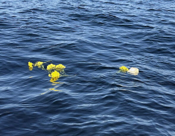 Peaceful burial at sea ceremony in Orange Beach Alabama