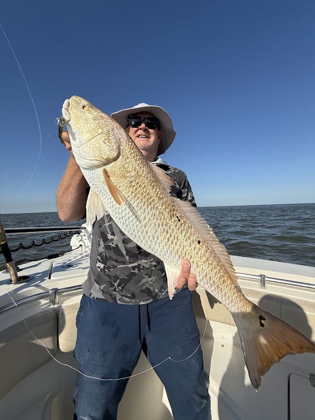 bull redfish out of orange beach alabama